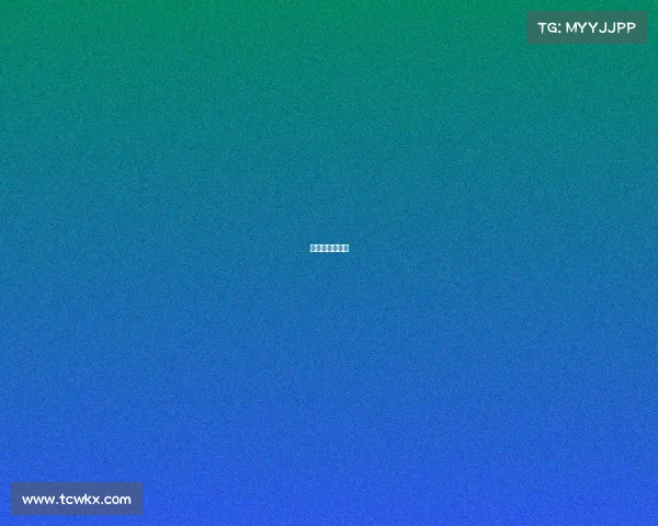 赛事执行是什么